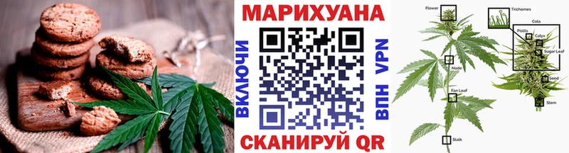 Canna-Cookies марихуана  Купить  Петухово 