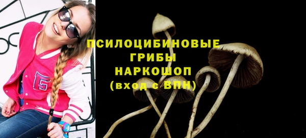 каннабис Каменка