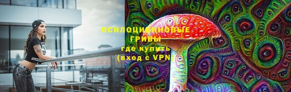 амф Каменногорск