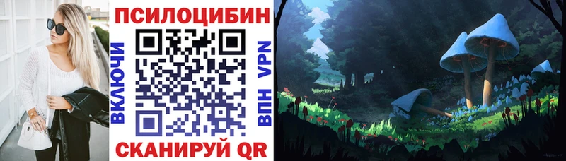 Купить где  Петухово  Галлюциногенные грибы GOLDEN TEACHER 