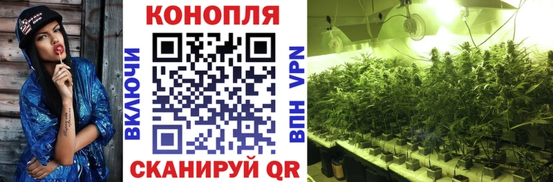 Конопля марихуана Петухово